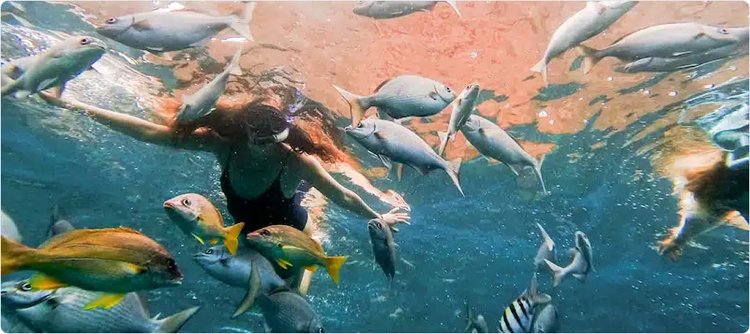 Deluxe Morning NaPali Snorkel Cruise