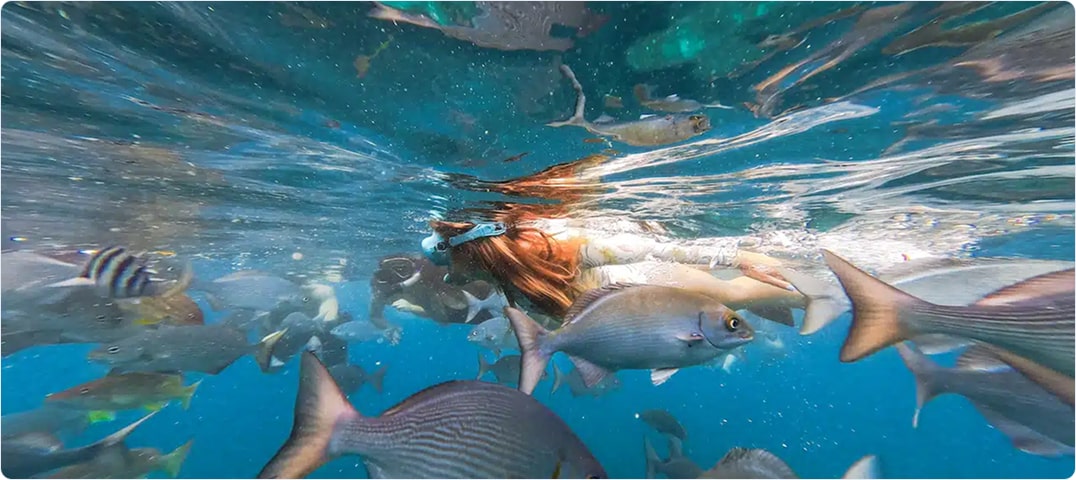Deluxe Sunset Napali Snorkel