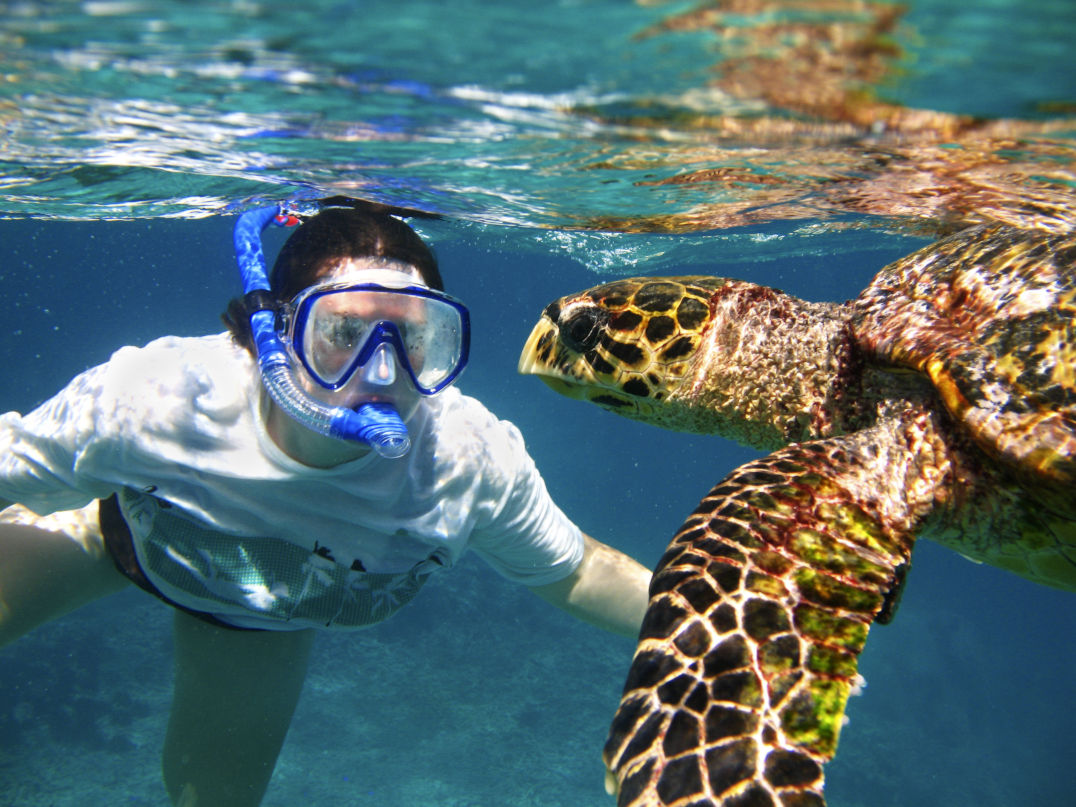 Morning Snorkel and Napali Coast