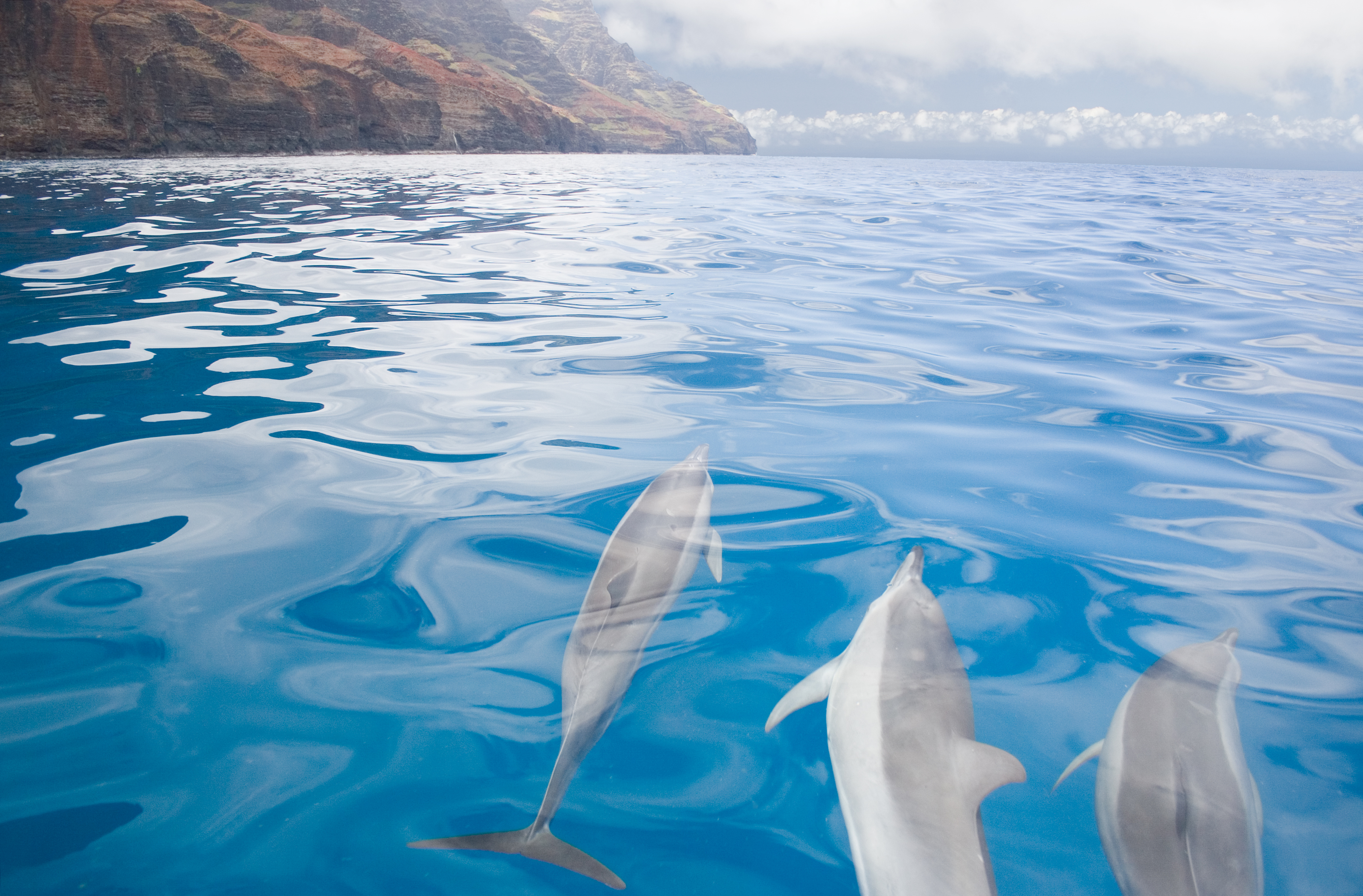 Afternoon Snorkel and Napali Coast