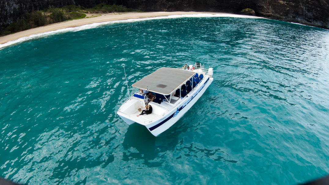 Private Snorkel and Napali Coast