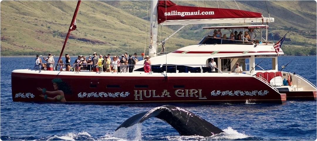 Hula Girl Deluxe Whale Watch Dinner Cruise