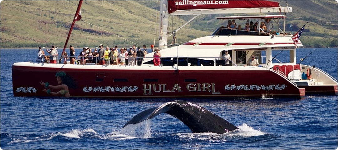 Hula Girl Sunset Whale Watch