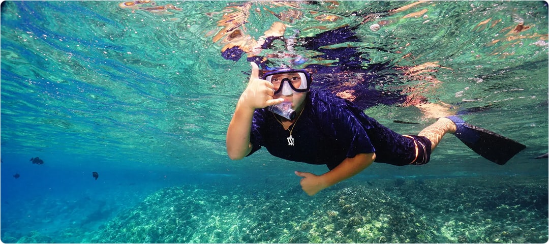 Afternoon Coral Gardens Snorkel