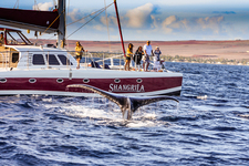 Shangri-La Dinner Whale Watch