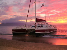 Shangri-La Dinner Whale Watch