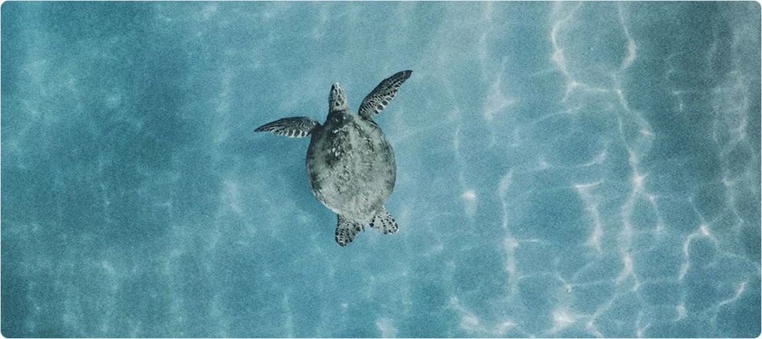 Activity Title Example