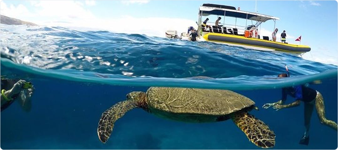 Ultimate Snorkel Tour