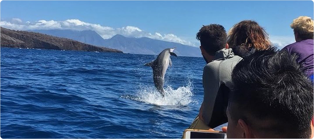 Ultimate Snorkel Tour