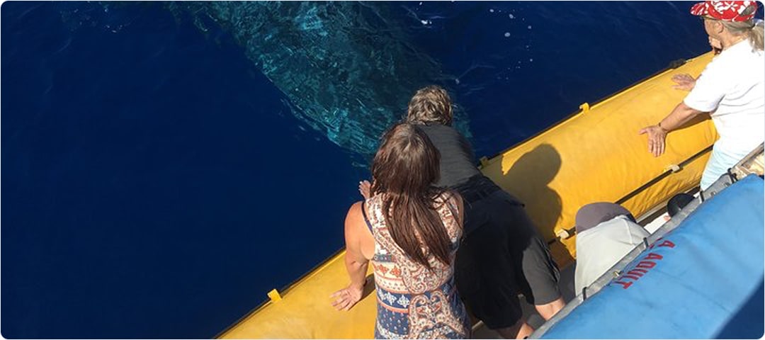 VIP Whale Watch